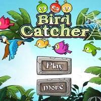 Игра Angry Birds: Ловля птиц