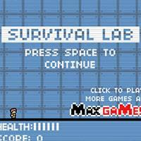 Игра Лаборатория выживания