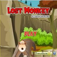 Игра Найти отличия обезьянка