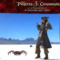 Игра Пираты Карибского Моря: Охота на крабов