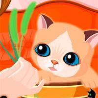 Игра Тамагочи котенок онлайн