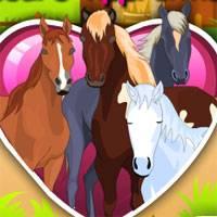 Игра Уход за лошадьми онлайн