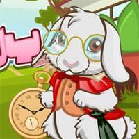 Игра Уход за животными: Кролик