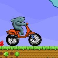 Игра Акула на мотоцикле онлайн