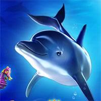 Игра Дельфины акробатика онлайн