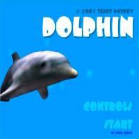 Игра игры дельфины шоу 10 онлайн