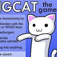 Игра Длинный кот онлайн