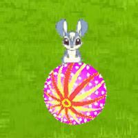 Игра Кико - кролик Блум онлайн