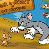 Игра Кошки: Том и Джерри