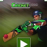 Игра Крикет