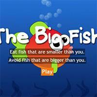 Игра Крупная рыба онлайн