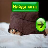 Игра Найди кота онлайн