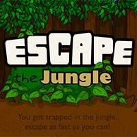 Игра Побег из джунглей онлайн