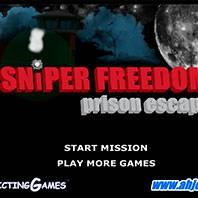 Игра Побег из тюрьмы: помощь снайпера