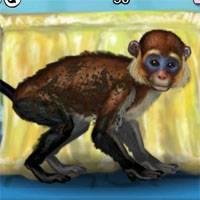 Игра Прикольная обезьяна онлайн