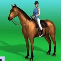 Игра Прыжки на лошади 2 онлайн