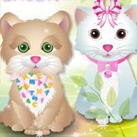Игра Салон Красоты для Кошек онлайн