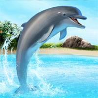 Игра Шоу дельфинов 2 онлайн