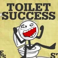 Игра Троллфейс туалетный успех онлайн