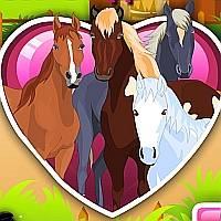 Игра Ухаживать за Лошадьми онлайн