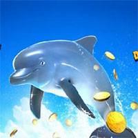 Игра Выступает дельфин онлайн