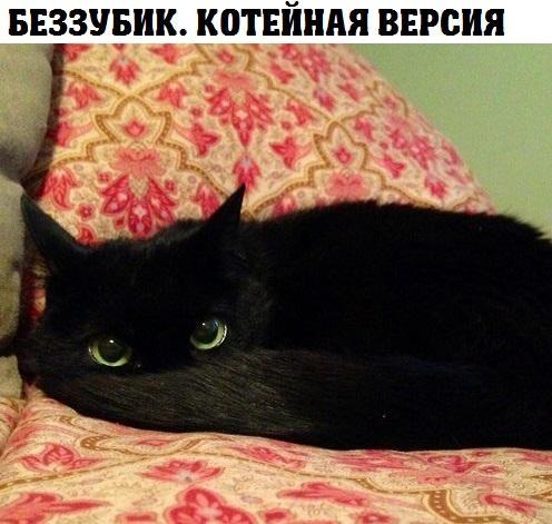 ”кот_беззубик”