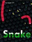 Игры Snake io